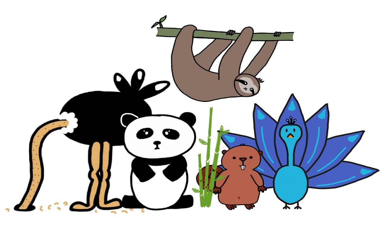 Verschillende dieren getekend door Bianca Griffioen.